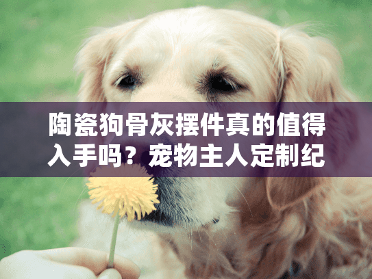 陶瓷狗骨灰摆件真的值得入手吗？宠物主人定制纪念品选购指南