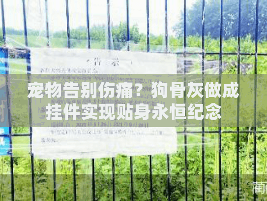 宠物告别伤痛？狗骨灰做成挂件实现贴身永恒纪念