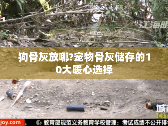 狗骨灰放哪?宠物骨灰储存的10大暖心选择