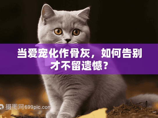 当爱宠化作骨灰，如何告别才不留遗憾？