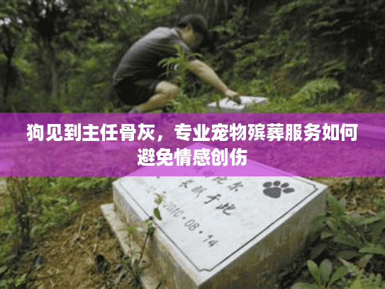 狗见到主任骨灰，专业宠物殡葬服务如何避免情感创伤