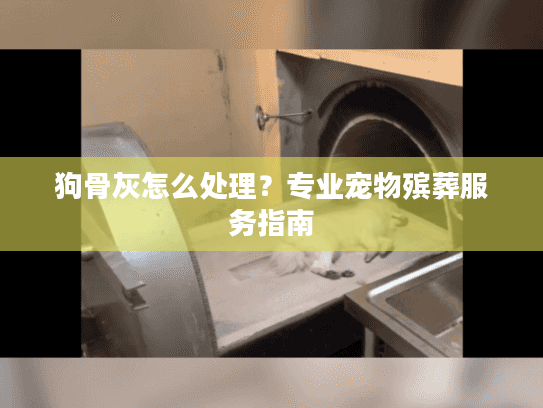 狗骨灰怎么处理?专业宠物殡葬服务指南 狗骨灰怎么处理?专业宠物殡葬服务指南