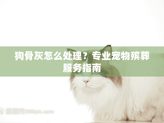 狗骨灰怎么处理?专业宠物殡葬服务指南 狗骨灰怎么处理?专业宠物殡葬服务指南