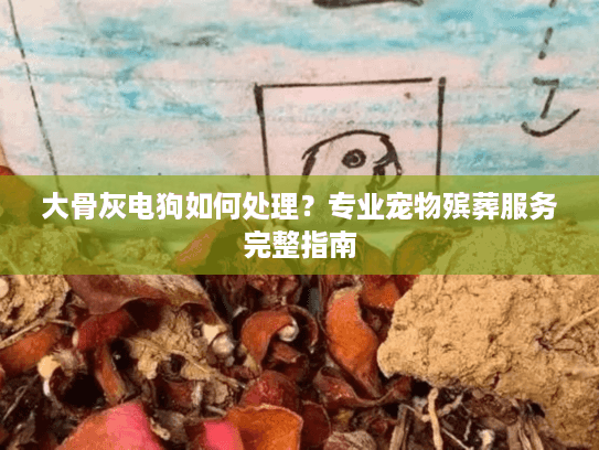 大骨灰电狗如何处理？专业宠物殡葬服务完整指南