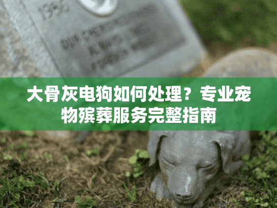 大骨灰电狗如何处理？专业宠物殡葬服务完整指南