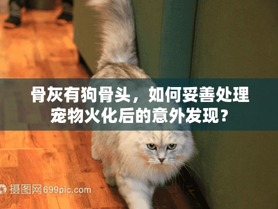 骨灰有狗骨头，如何妥善处理宠物火化后的意外发现？