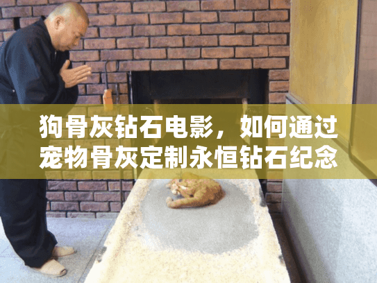 狗骨灰钻石电影，如何通过宠物骨灰定制永恒钻石纪念品？