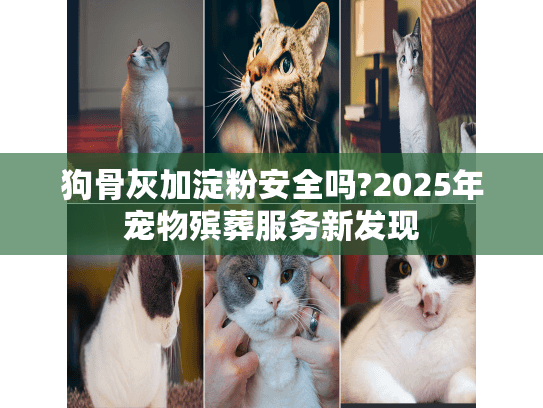 狗骨灰加淀粉安全吗?2025年宠物殡葬服务新发现