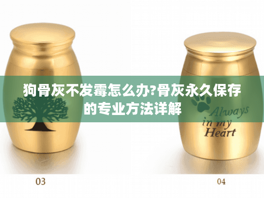 狗骨灰不发霉怎么办?骨灰永久保存的专业方法详解