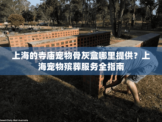 上海的寺庙宠物骨灰盒哪里提供？上海宠物殡葬服务全指南