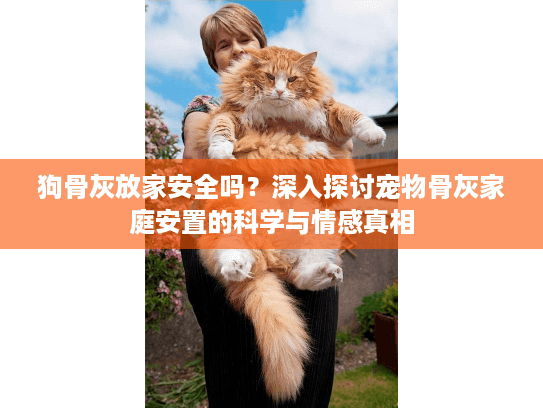狗骨灰放家安全吗？深入探讨宠物骨灰家庭安置的科学与情感真相