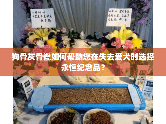 狗骨灰骨瓷如何帮助您在失去爱犬时选择永恒纪念品？