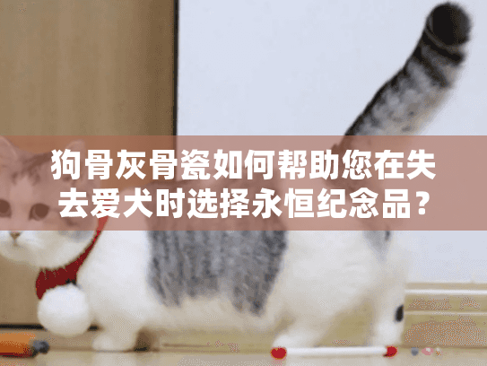 狗骨灰骨瓷如何帮助您在失去爱犬时选择永恒纪念品？