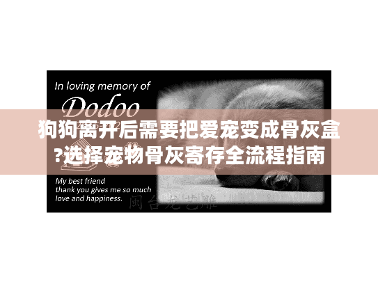 狗狗离开后需要把爱宠变成骨灰盒?选择宠物骨灰寄存全流程指南