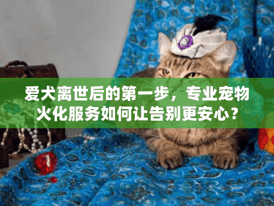 爱犬离世后的第一步，专业宠物火化服务如何让告别更安心？