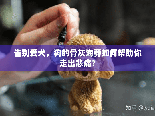 告别爱犬，狗的骨灰海葬如何帮助你走出悲痛？
