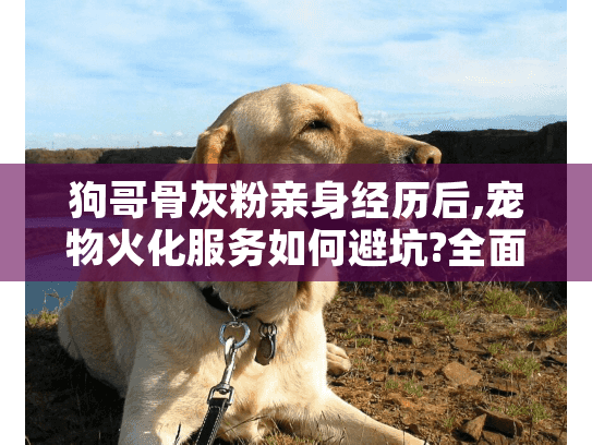 狗哥骨灰粉亲身经历后,宠物火化服务如何避坑?全面指南来了