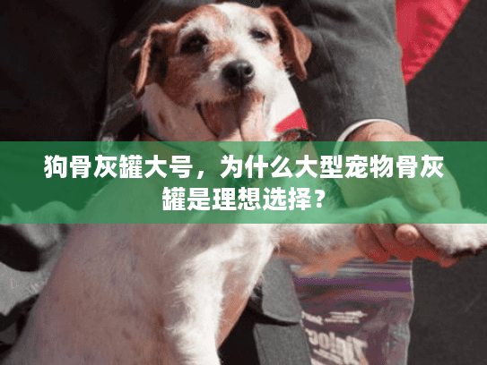 狗骨灰罐大号，为什么大型宠物骨灰罐是理想选择？