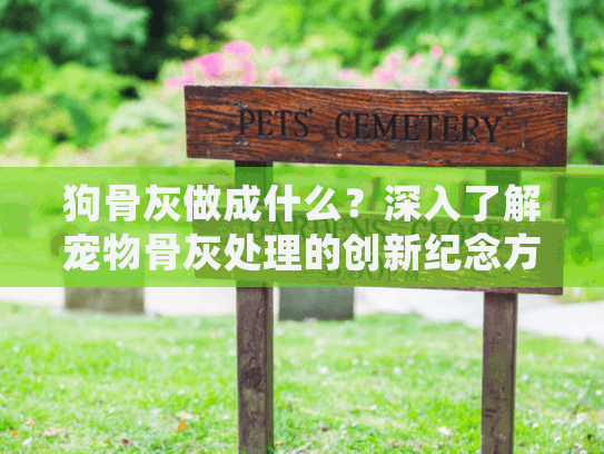 狗骨灰做成什么？深入了解宠物骨灰处理的创新纪念方式