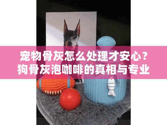 宠物骨灰怎么处理才安心？狗骨灰泡咖啡的真相与专业选择