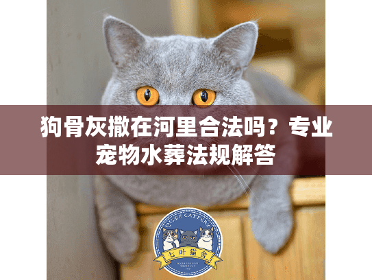 狗骨灰撒在河里合法吗？专业宠物水葬法规解答