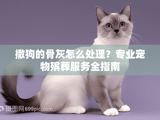撒狗的骨灰怎么处理？专业宠物殡葬服务全指南
