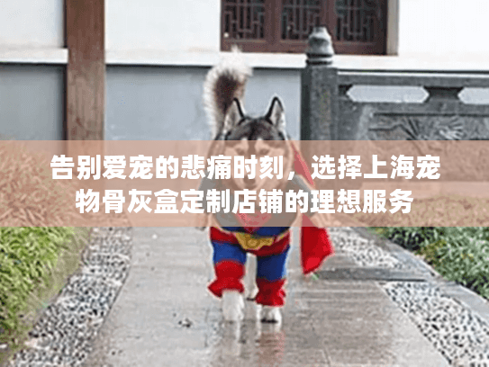 告别爱宠的悲痛时刻，选择上海宠物骨灰盒定制店铺的理想服务