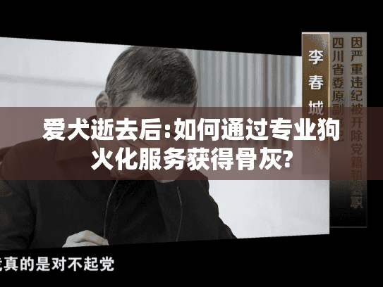 爱犬逝去后:如何通过专业狗火化服务获得骨灰?