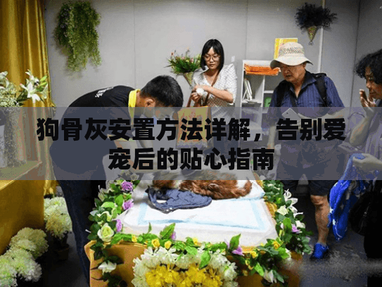 狗骨灰安置方法详解，告别爱宠后的贴心指南