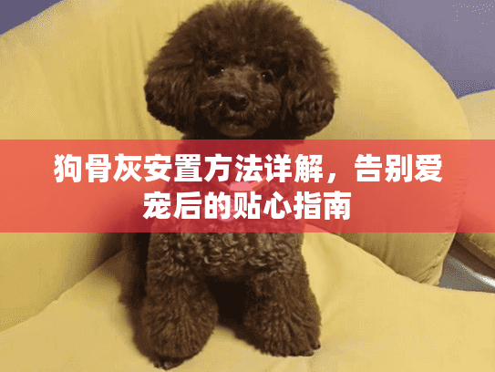 狗骨灰安置方法详解，告别爱宠后的贴心指南