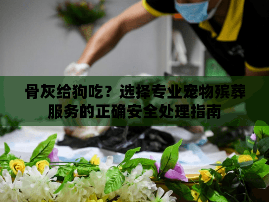 骨灰给狗吃？选择专业宠物殡葬服务的正确安全处理指南