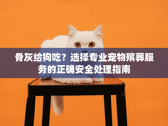 骨灰给狗吃？选择专业宠物殡葬服务的正确安全处理指南