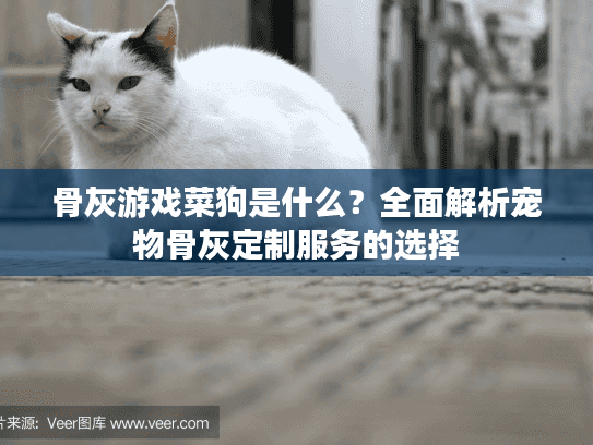 骨灰游戏菜狗是什么？全面解析宠物骨灰定制服务的选择