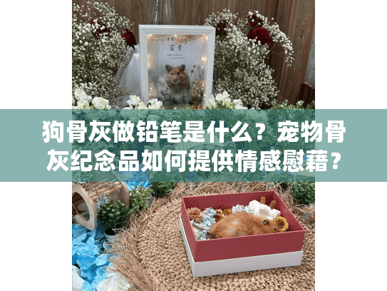 狗骨灰做铅笔是什么？宠物骨灰纪念品如何提供情感慰藉？