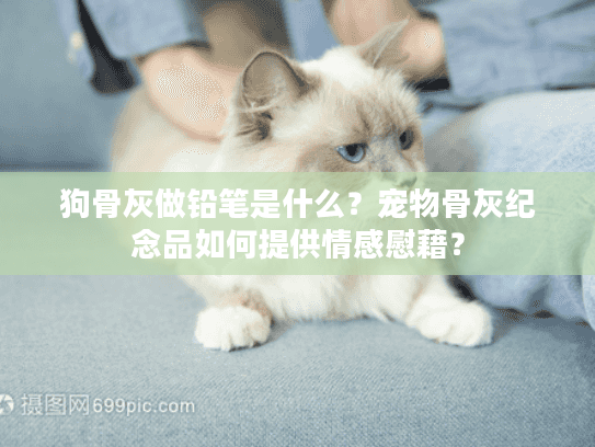 狗骨灰做铅笔是什么？宠物骨灰纪念品如何提供情感慰藉？