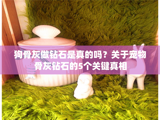 狗骨灰做钻石是真的吗？关于宠物骨灰钻石的5个关键真相