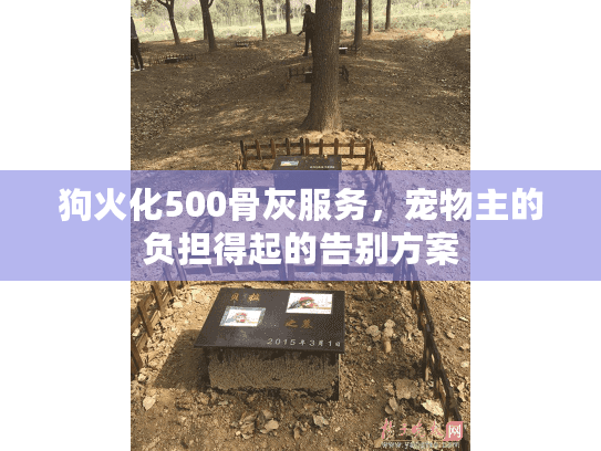 狗火化500骨灰服务，宠物主的负担得起的告别方案