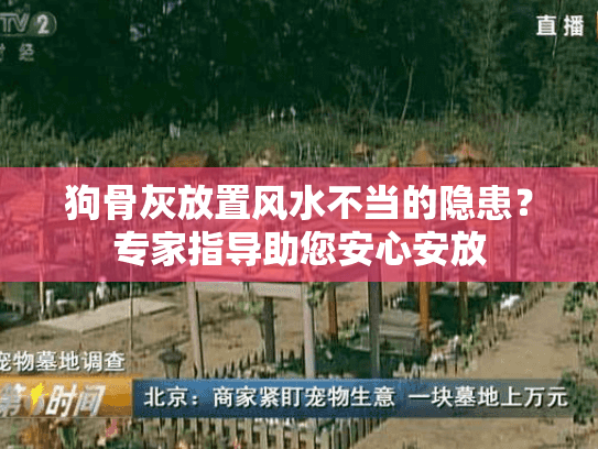 狗骨灰放置风水不当的隐患？专家指导助您安心安放