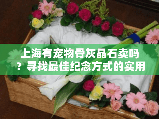 上海有宠物骨灰晶石卖吗？寻找最佳纪念方式的实用指南