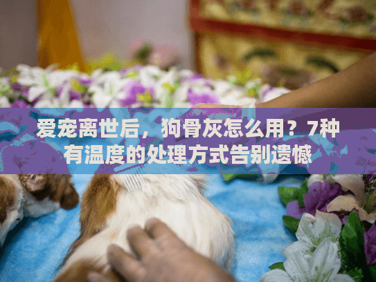 爱宠离世后，狗骨灰怎么用？7种有温度的处理方式告别遗憾