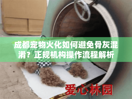 成都宠物火化如何避免骨灰混淆？正规机构操作流程解析