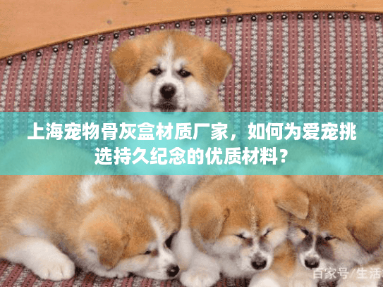 上海宠物骨灰盒材质厂家，如何为爱宠挑选持久纪念的优质材料？