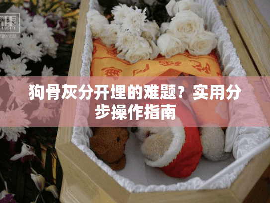 狗骨灰分开埋的难题？实用分步操作指南