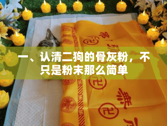 一、认清二狗的骨灰粉,不只是粉末那么简单 一、认清二狗的骨灰粉,不只是粉末那么简单