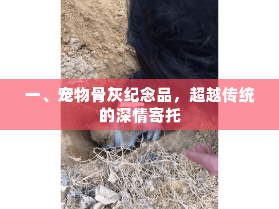 一、宠物骨灰纪念品，超越传统的深情寄托