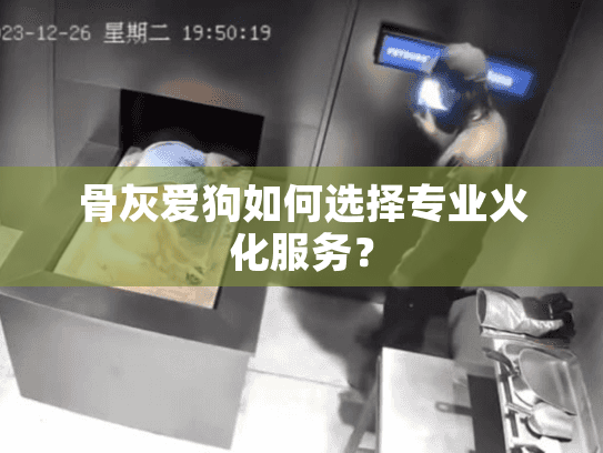 骨灰爱狗如何选择专业火化服务？
