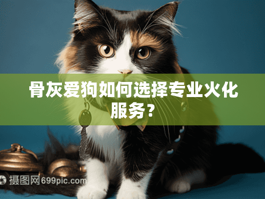 骨灰爱狗如何选择专业火化服务？