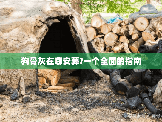狗骨灰在哪安葬?一个全面的指南