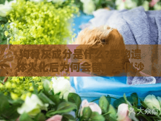 狗骨灰成分是什么?宠物遗体火化后为何会留下类似沙子的残留物?