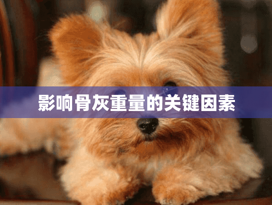 影响骨灰重量的关键因素